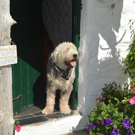 Lissyclearig Thatched Cottage Kenmare Εξωτερικό φωτογραφία