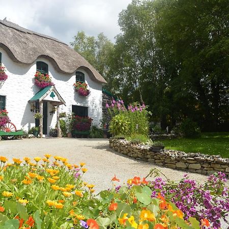 Lissyclearig Thatched Cottage Kenmare Εξωτερικό φωτογραφία