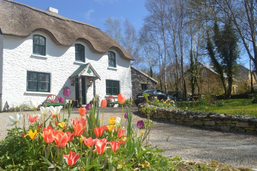 Lissyclearig Thatched Cottage Kenmare Εξωτερικό φωτογραφία