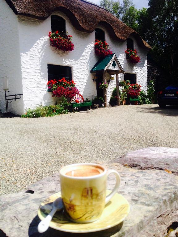 Lissyclearig Thatched Cottage Kenmare Εξωτερικό φωτογραφία